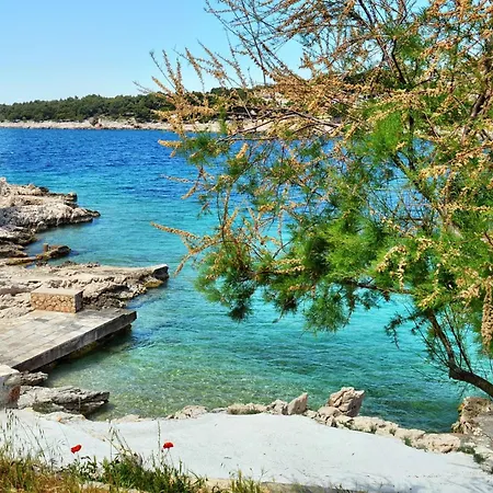 Apartment By The Sea Bilo, - 14601 Primosten